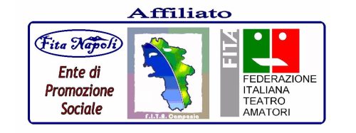 Logo FITA